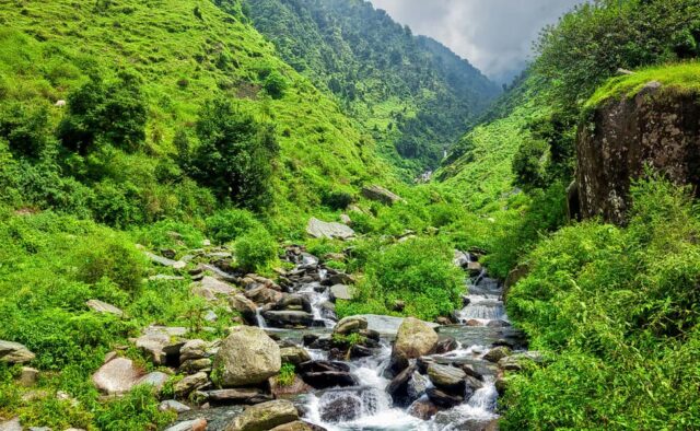 Himachal Pradesh Spirited Blogger Travel Blog - McLeod Ganj