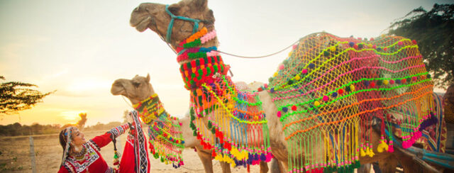 Rajasthan Travel blog - SpiritedBlogger