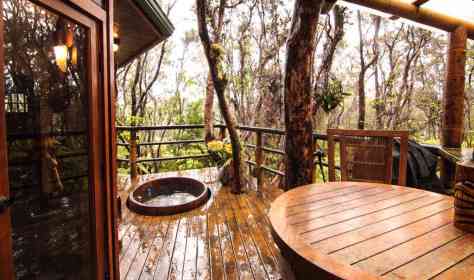 coolest atlanta treehouse