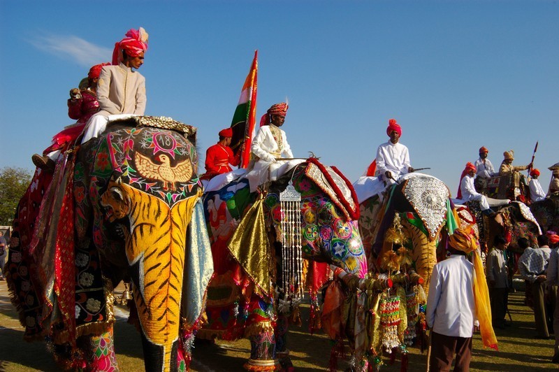 Jaipur, Rajasthan: Holi and Elephants Holi Blog - Spirited Blogger