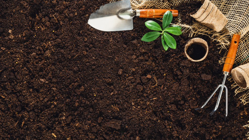 Spirited blogger Gardening tips