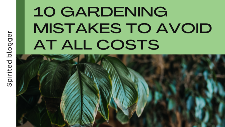 Spirited blogger mistakes to avoid in garden