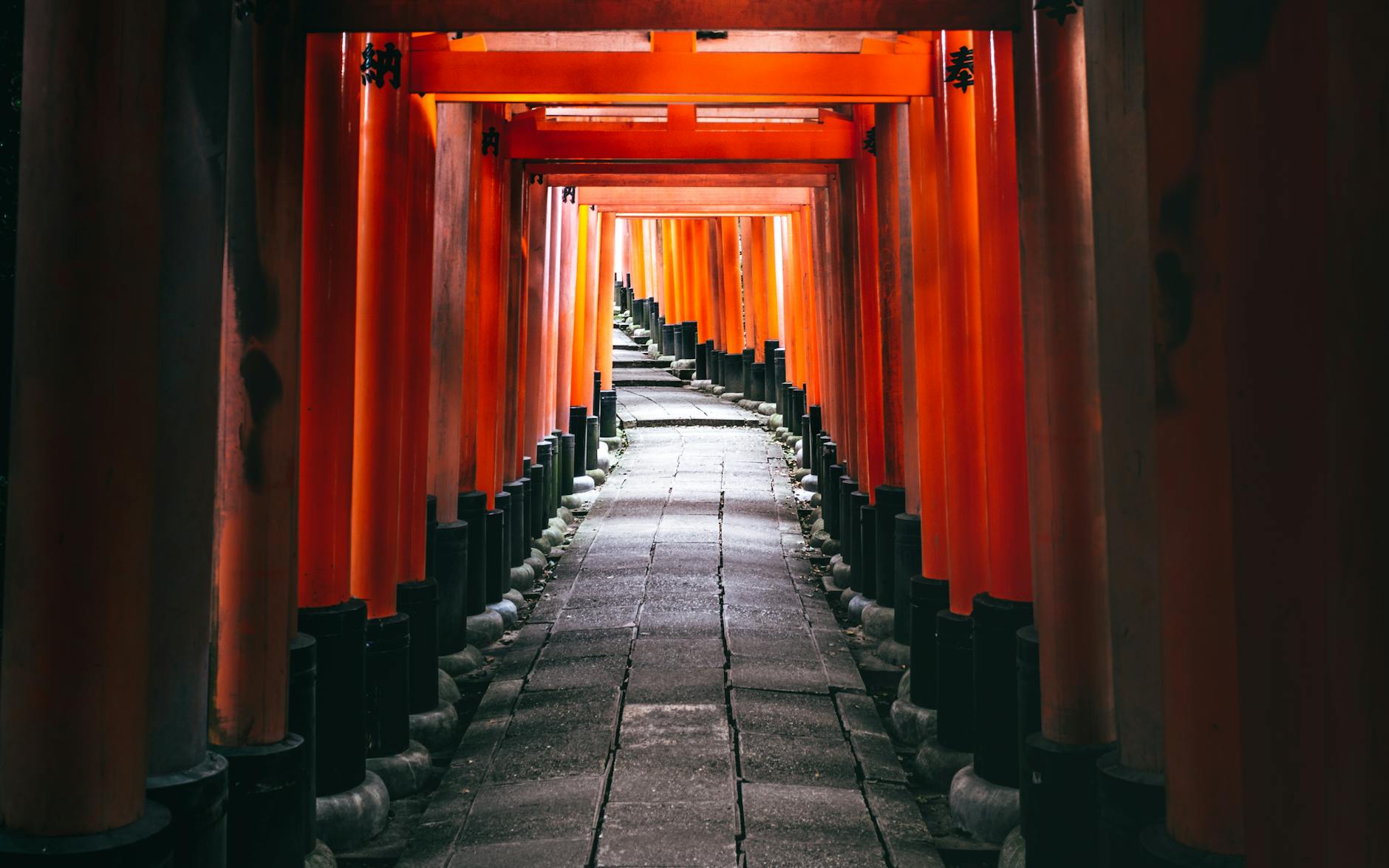 Kyoto Japan budget travel guide — Fushimi Inari thousand torii gates sunrise 10 day itinerary