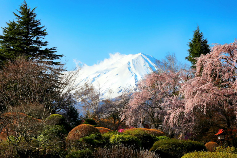 Japan budget travel itinerary 10 days under $1000 — complete guide Mount Fuji cherry blossom