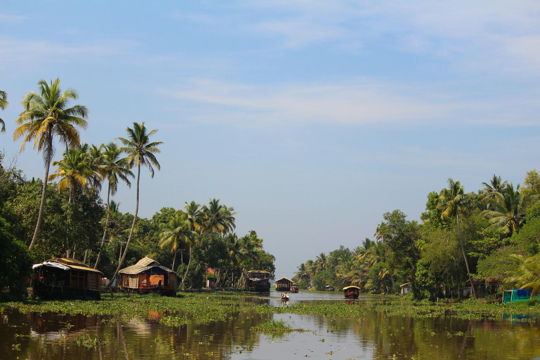 Kerala monsoon travel guide — backwaters rain mist houseboat Alleppey green by Shivi Goyal spiritedblogger