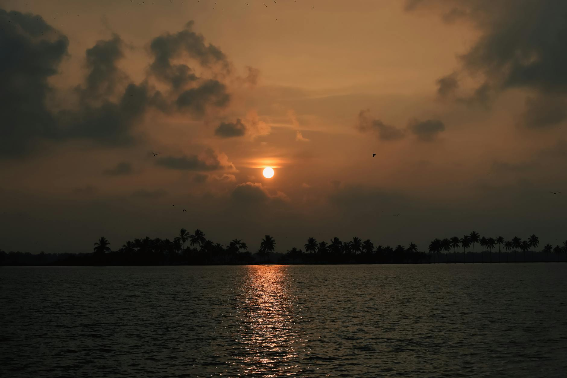 Kerala sunset backwaters golden light palm trees water reflection peaceful evening