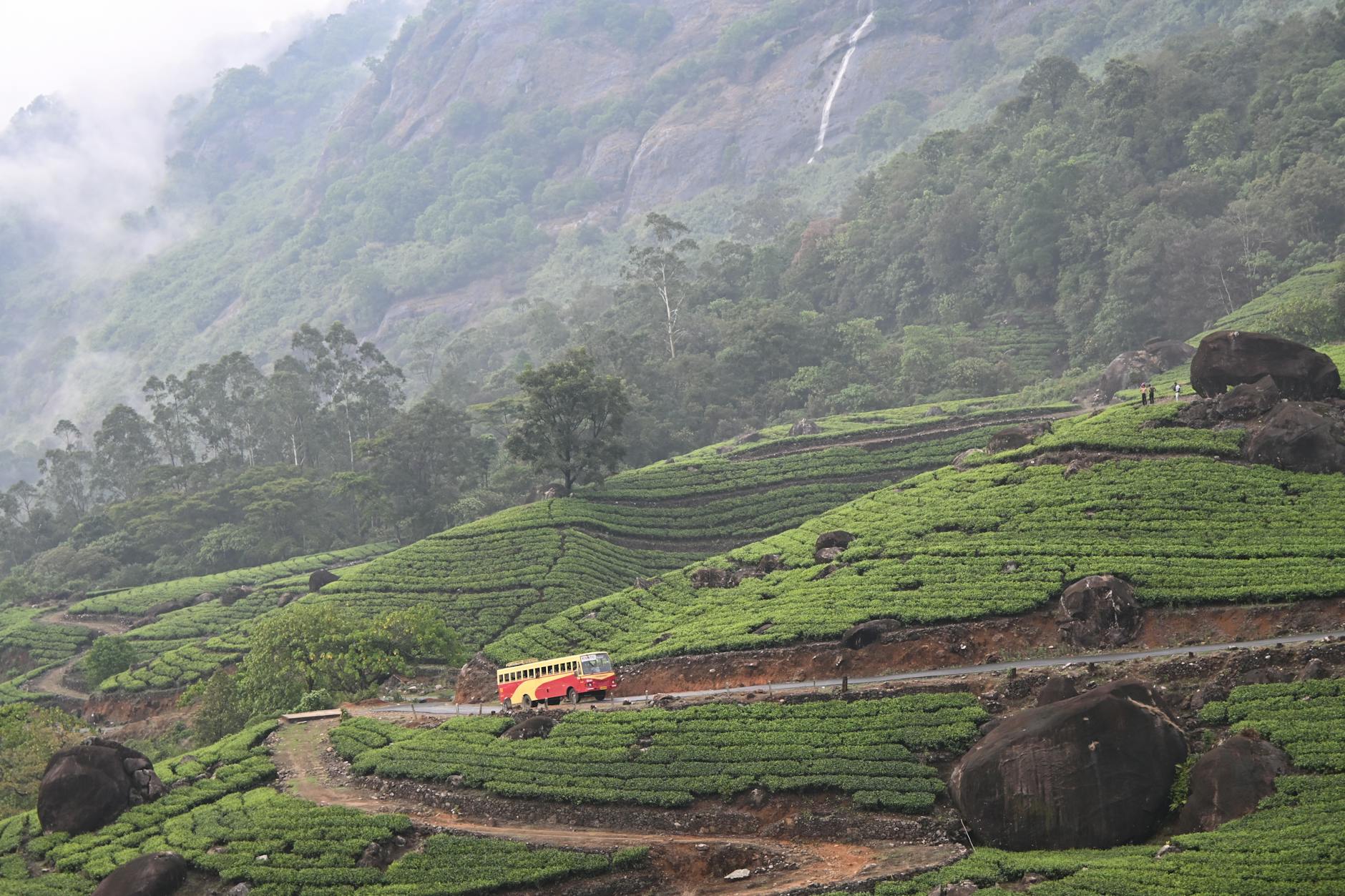 Kerala monsoon guide — Munnar waterfall lush green forest rain