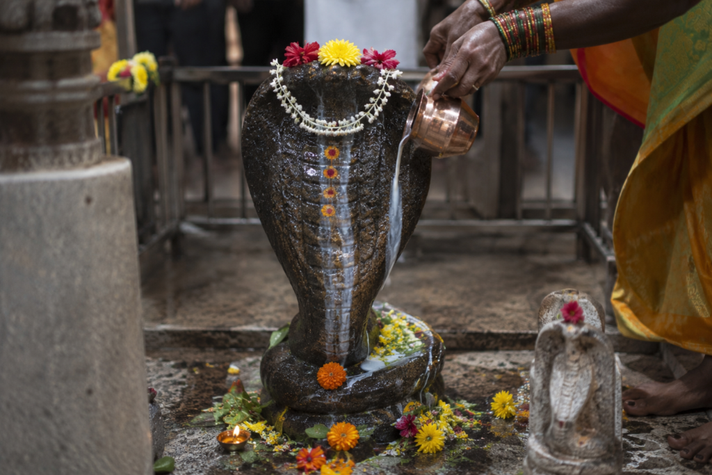 Nag Panchami Maharashtra serpent idol worship milk offerings monsoon